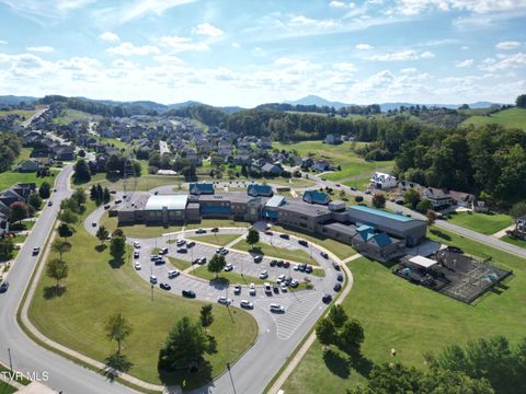 Tiny photo for 2492 Bridgeforth Crossing, Kingsport, TN 37664 (MLS # 9986487)