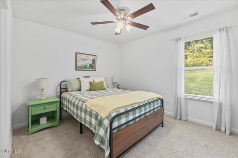 Tiny photo for 2492 Bridgeforth Crossing, Kingsport, TN 37664 (MLS # 9986487)