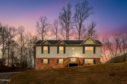 Photo of 510 Mockingbird Place, Jonesborough, TN 37659 (MLS # 9990130)