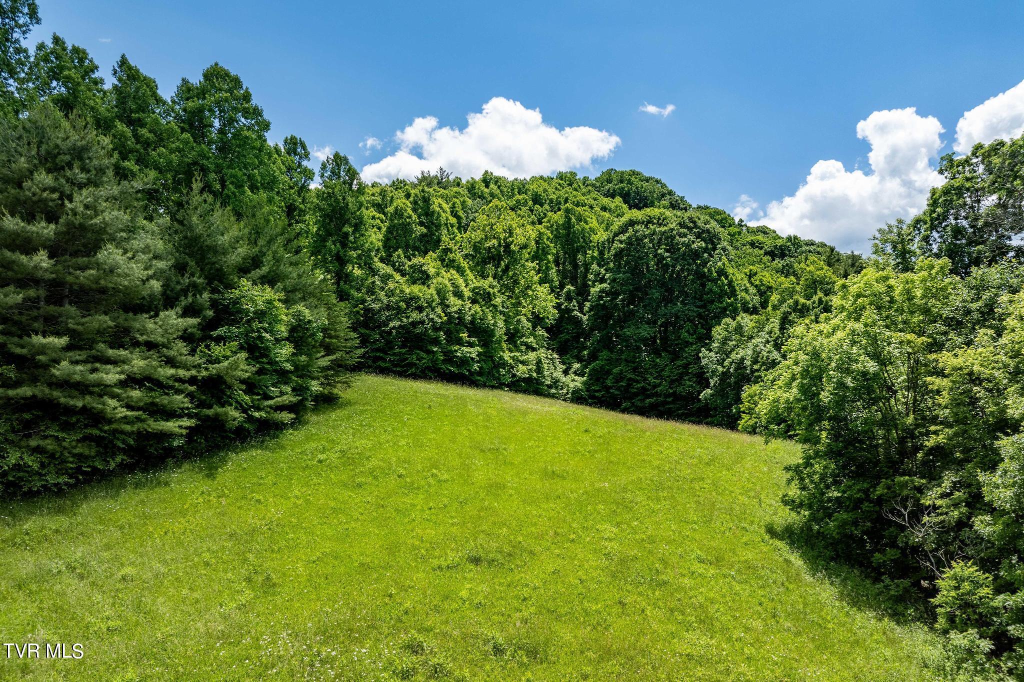 Tbd Dark Hollow Private Drive, Butler, Tennessee image 25
