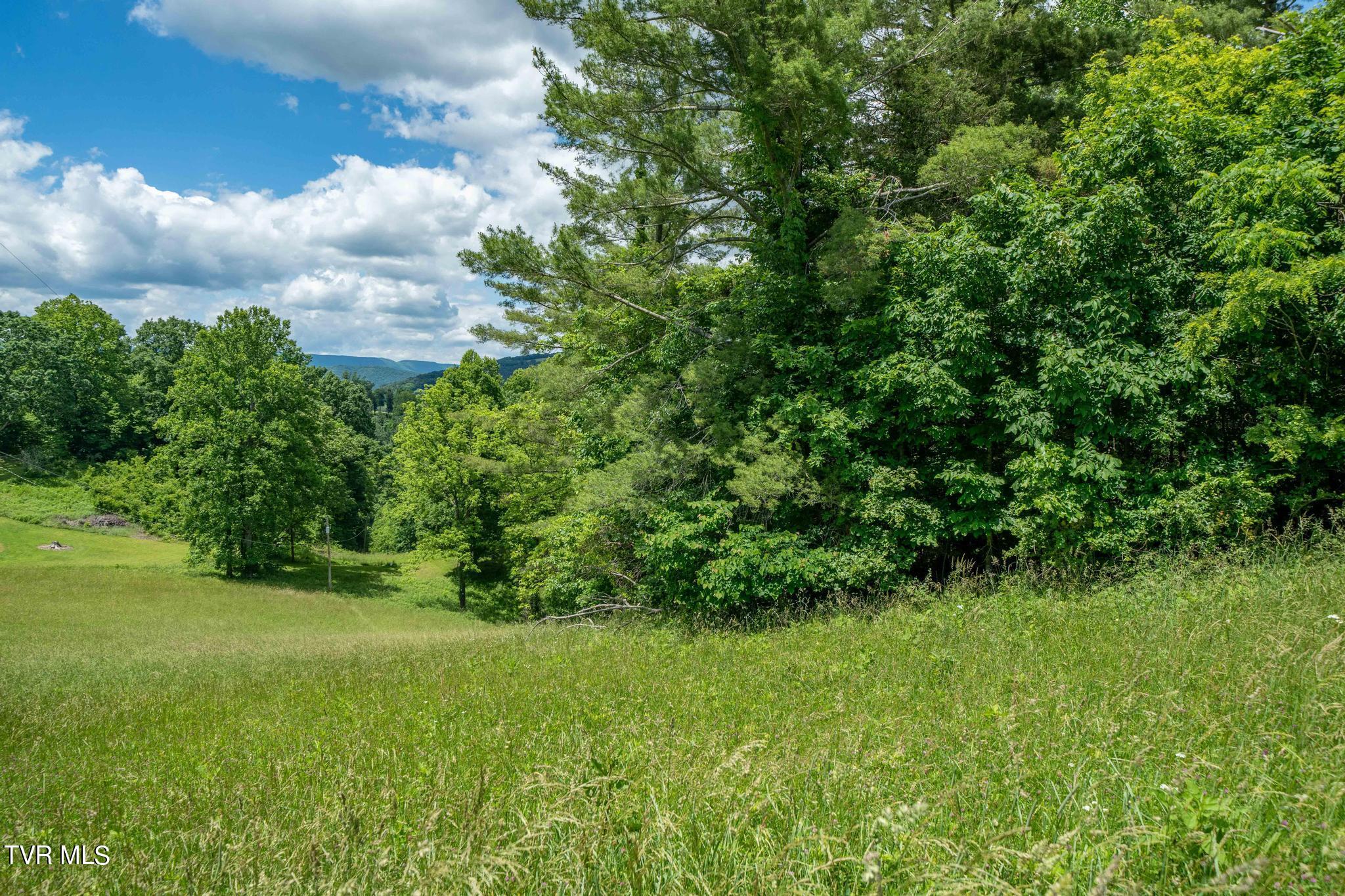 Tbd Dark Hollow Private Drive, Butler, Tennessee image 34
