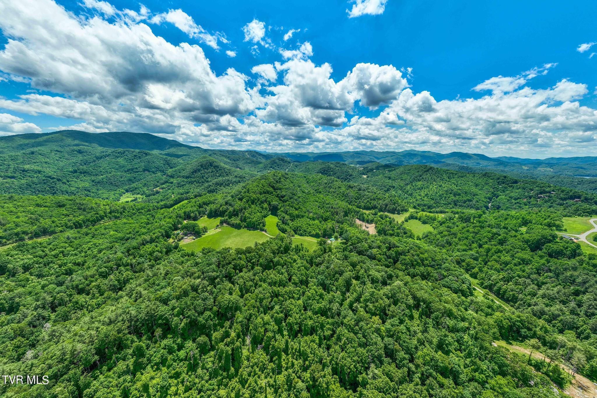 Tbd Dark Hollow Private Drive, Butler, Tennessee image 13
