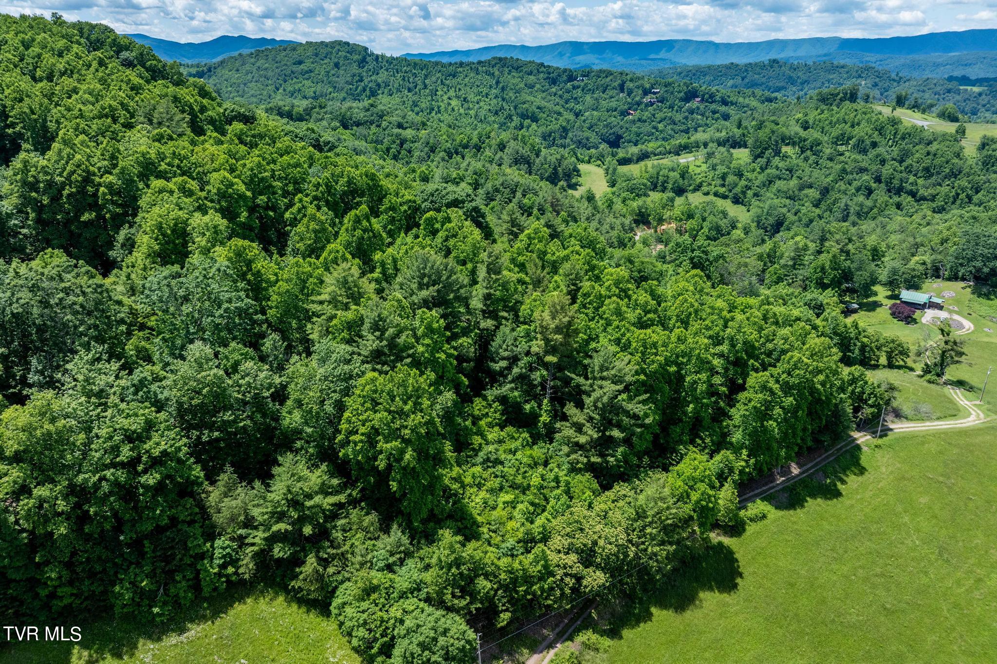 Tbd Dark Hollow Private Drive, Butler, Tennessee image 17