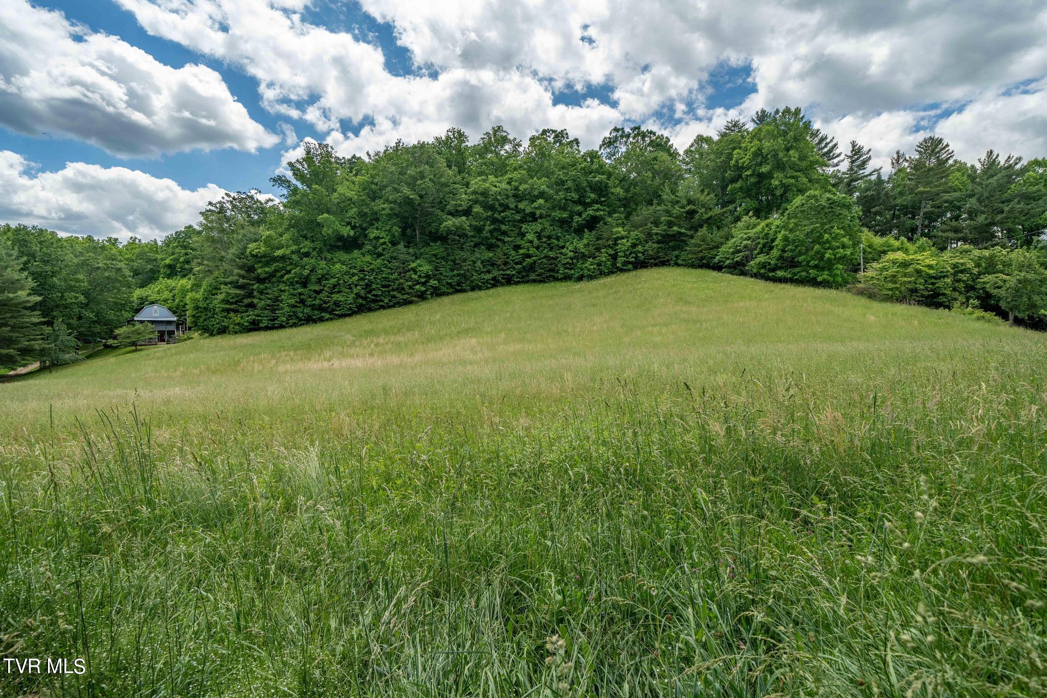 Tbd Dark Hollow Private Drive, Butler, Tennessee image 46