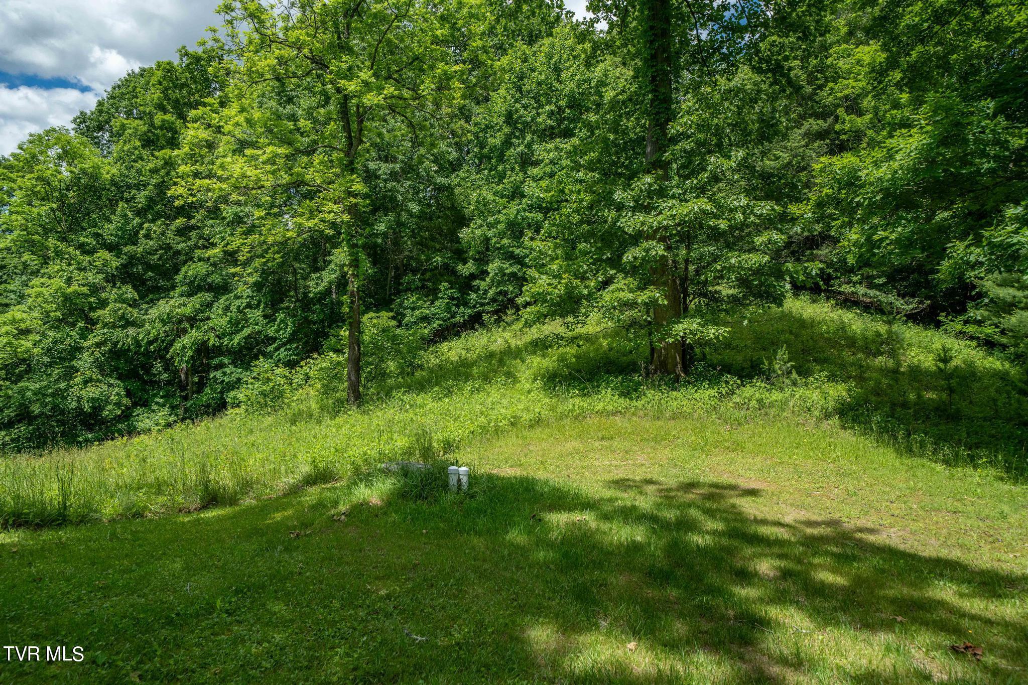 Tbd Dark Hollow Private Drive, Butler, Tennessee image 36