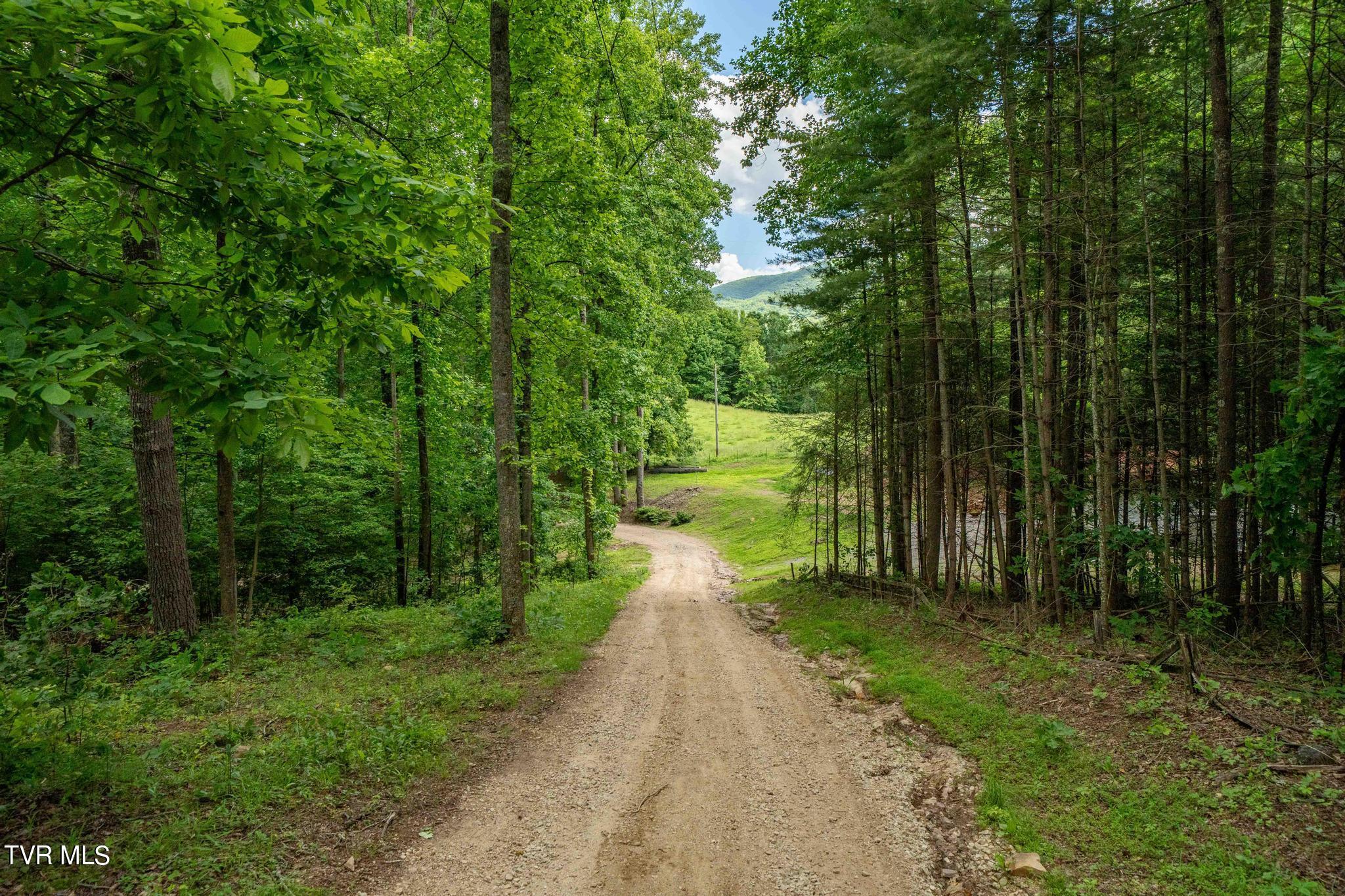 Tbd Dark Hollow Private Drive, Butler, Tennessee image 50