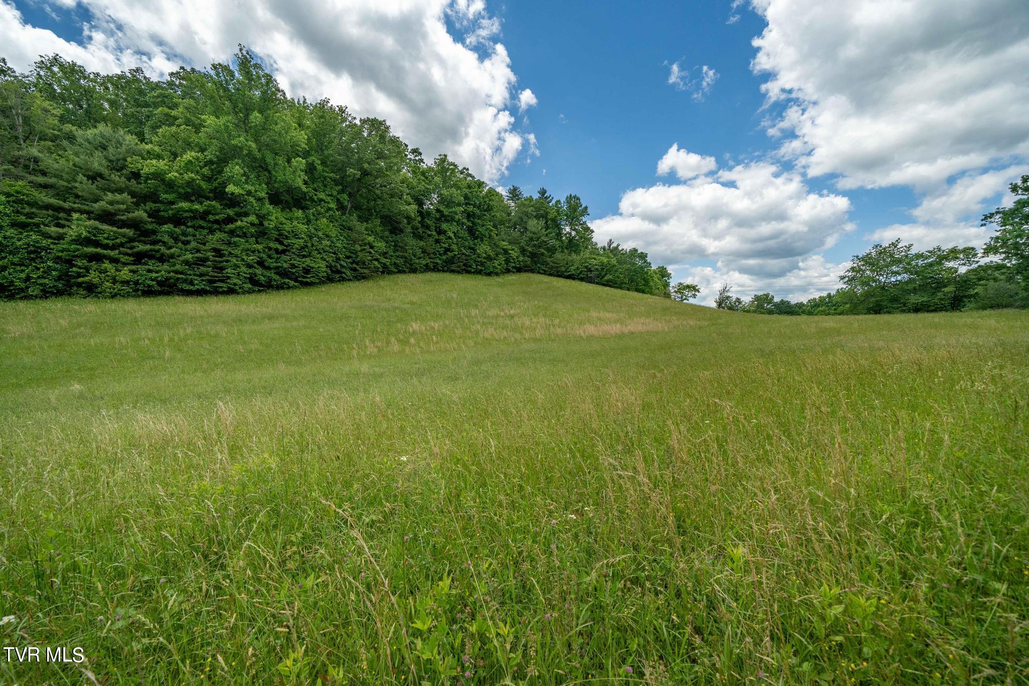 Tbd Dark Hollow Private Drive, Butler, Tennessee image 48