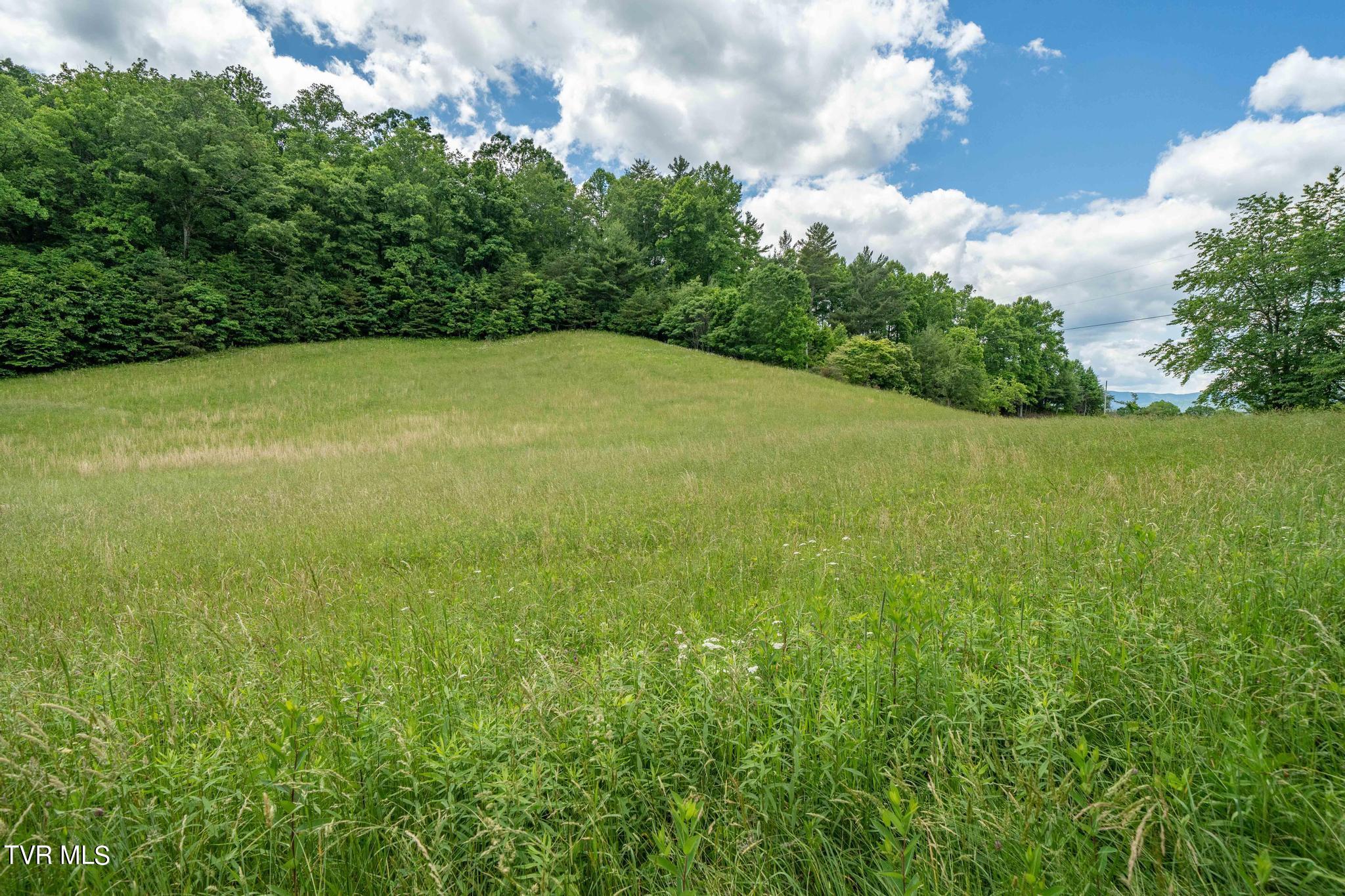 Tbd Dark Hollow Private Drive, Butler, Tennessee image 47
