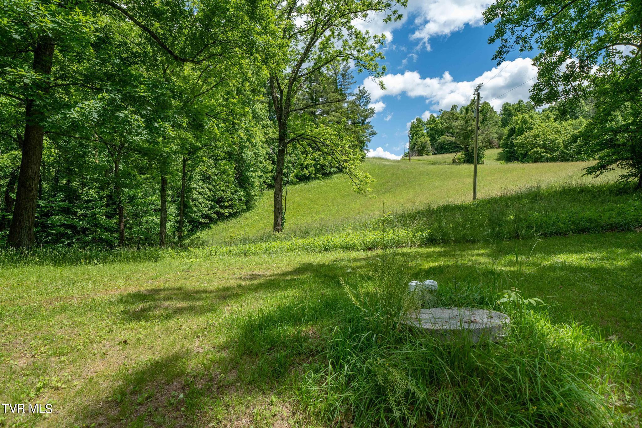 Tbd Dark Hollow Private Drive, Butler, Tennessee image 38