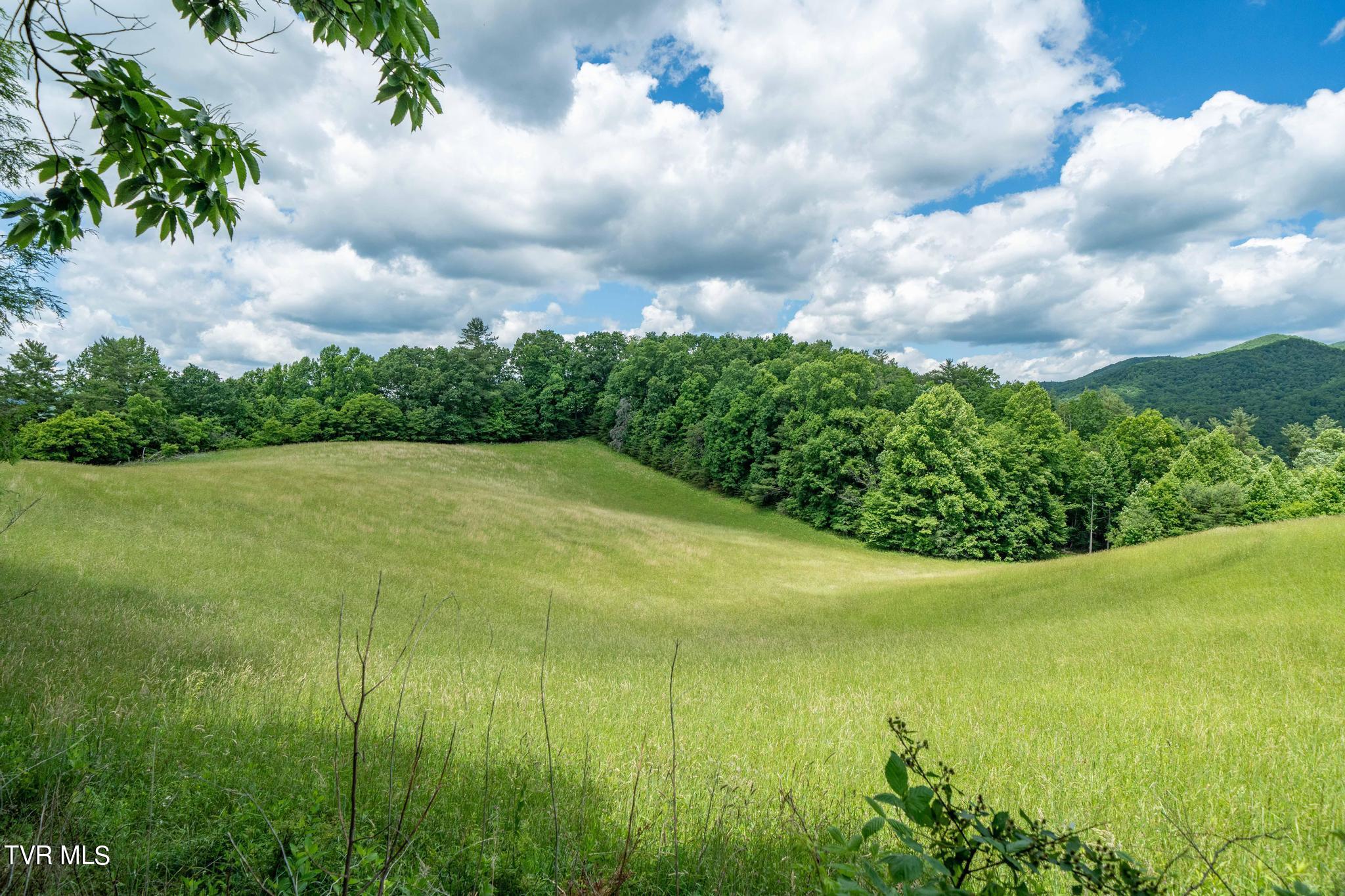 Tbd Dark Hollow Private Drive, Butler, Tennessee image 42