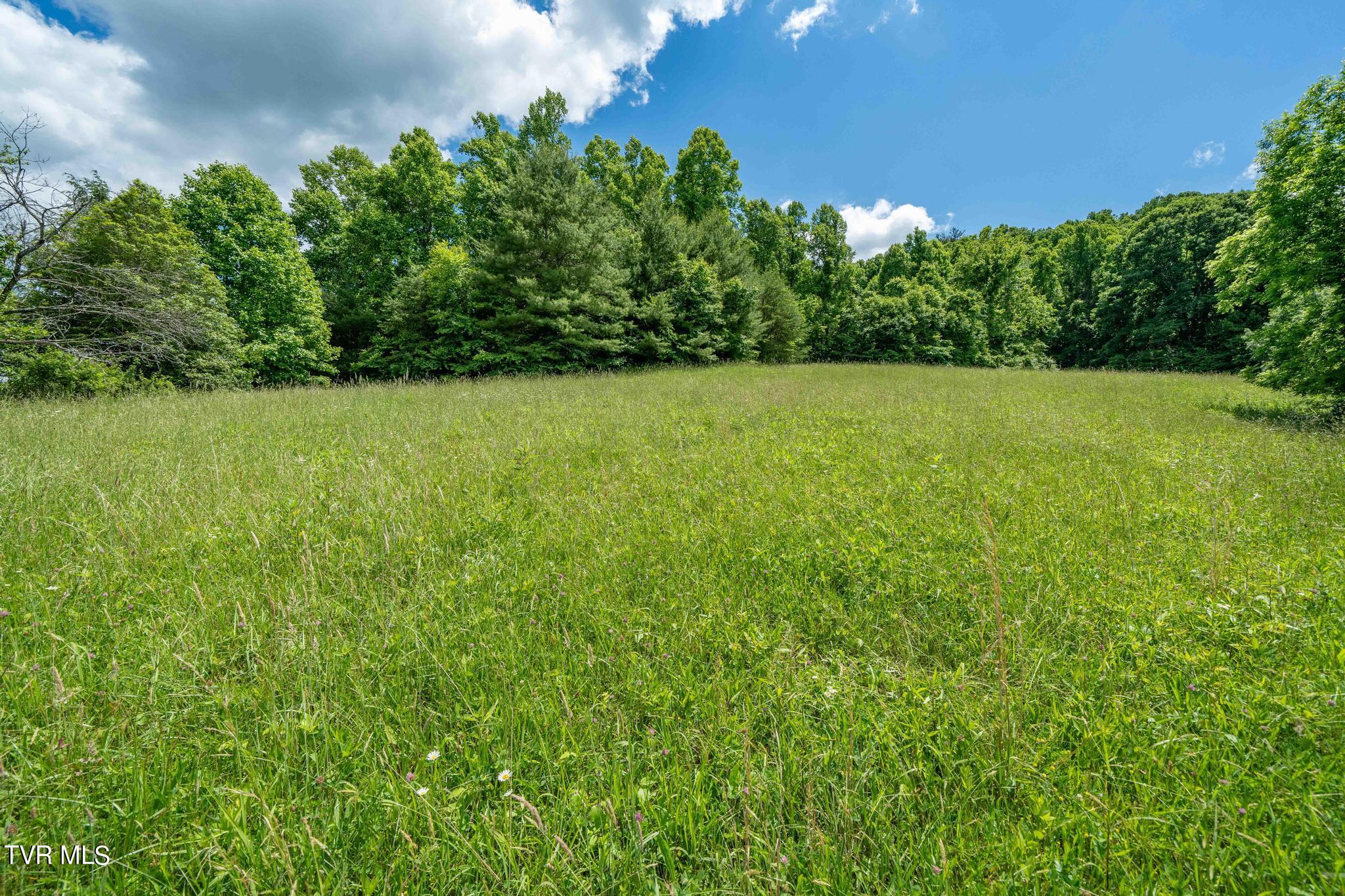 Tbd Dark Hollow Private Drive, Butler, Tennessee image 32