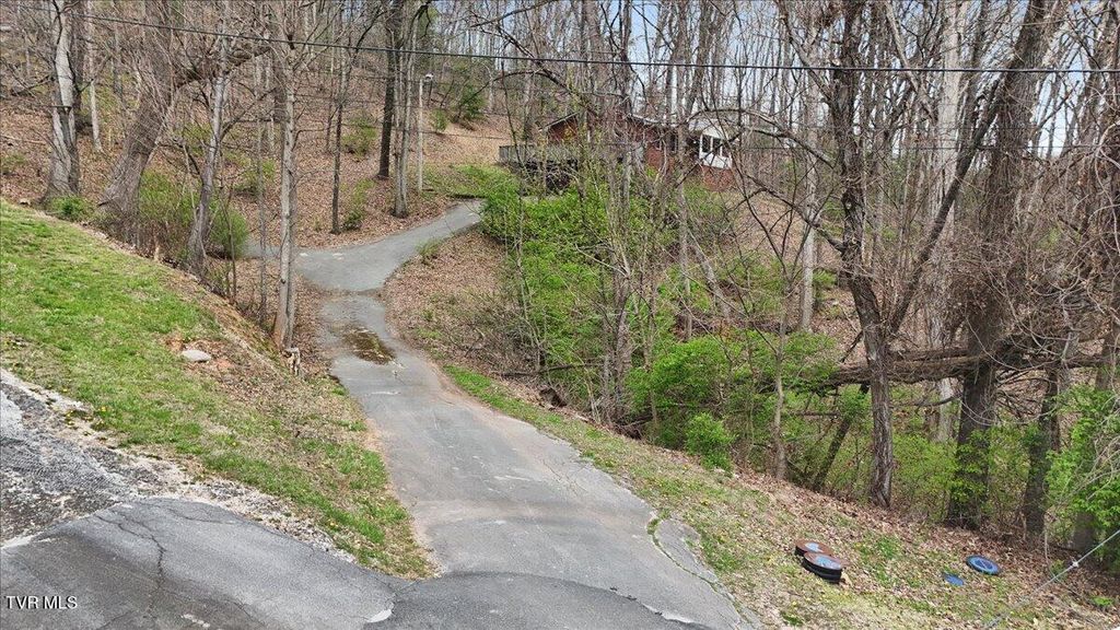 Photo of 216 Fitzsimmons Hill Road, Elizabethton, TN 37643 (MLS # 9993012)