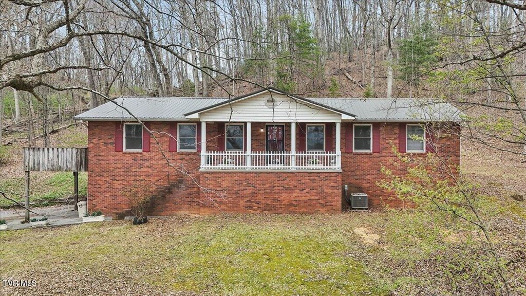 Photo of 216 Fitzsimmons Hill Road, Elizabethton, TN 37643 (MLS # 9993012)