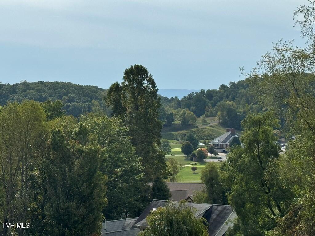 Tbd Glenview Drive, Abingdon, Virginia image 3