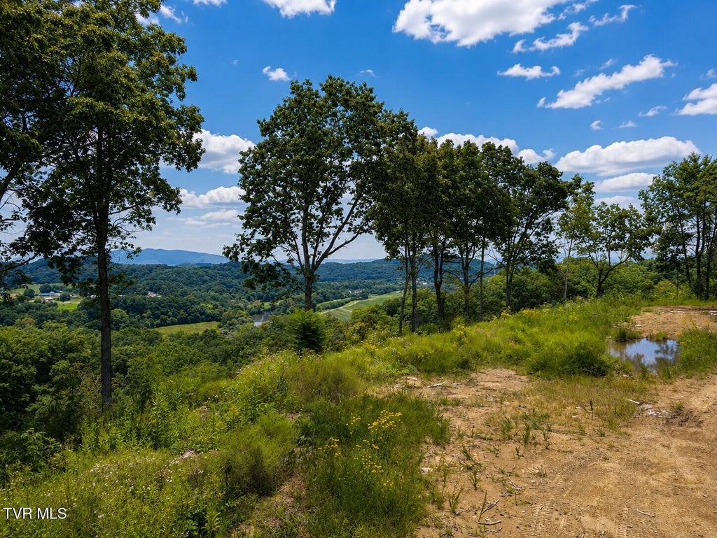 Photo of Tbd Mosier Road, Johnson City, TN 37601 (MLS # 9999208)