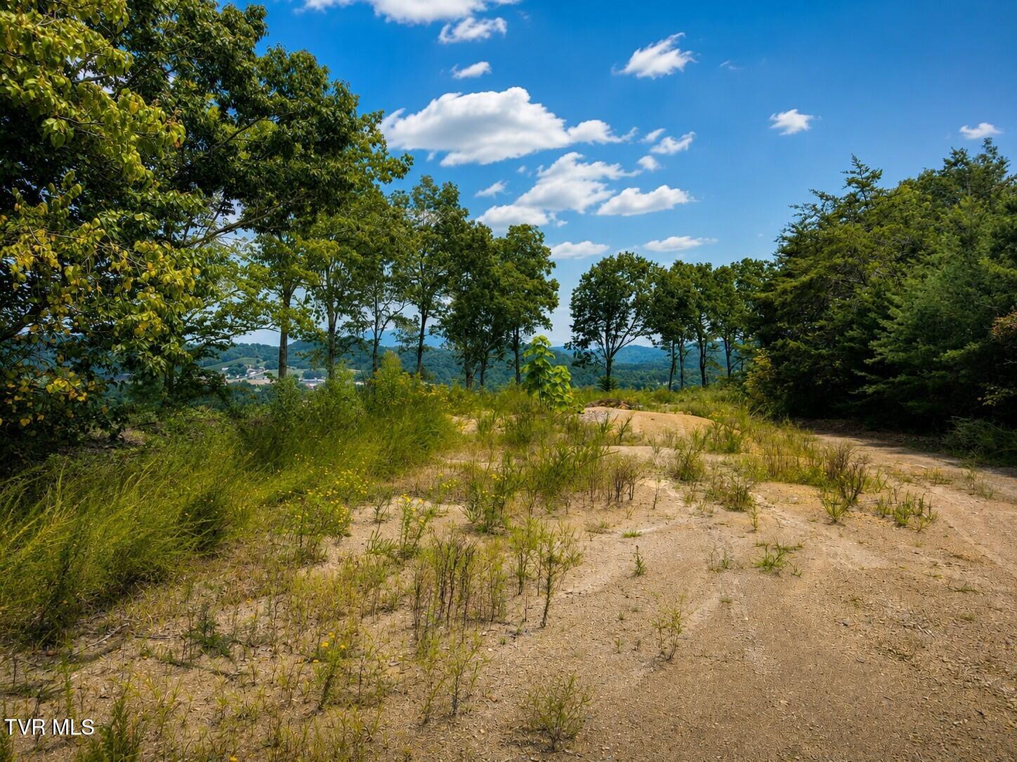 Tbd Mosier Road