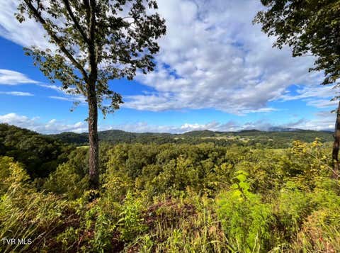 Vacant Land For Sale - TBD Mosier Road<br/> Johnson City, TN 37601