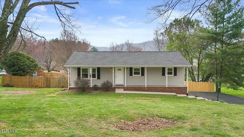 Photo of 316 Winding Road, Bristol, TN 37620 (MLS # 9992974)