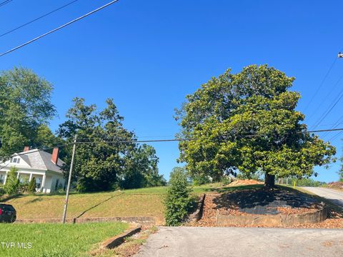 Photo of 124 Highland Avenue, Greeneville, TN 37743 (MLS # 9982641)