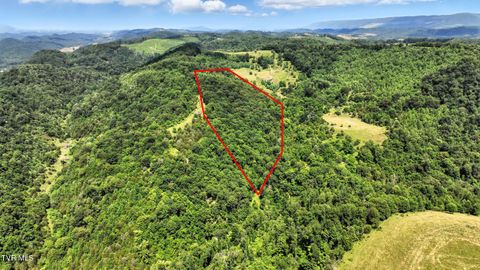 Vacant Land For Sale - TBD Rushing Road<br/> Russell County, Castlewood, VA 24224