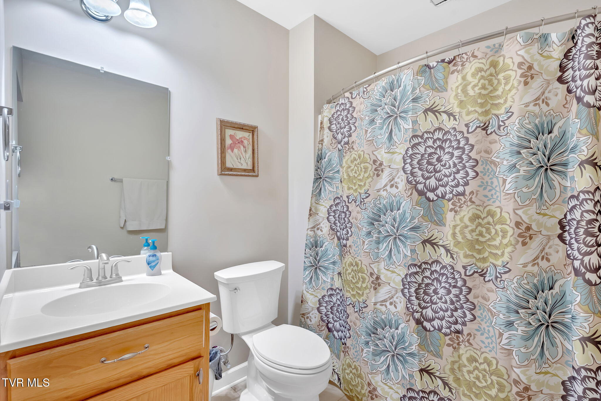 1162 Glen Abbey Way, Johnson City, Tennessee image 23