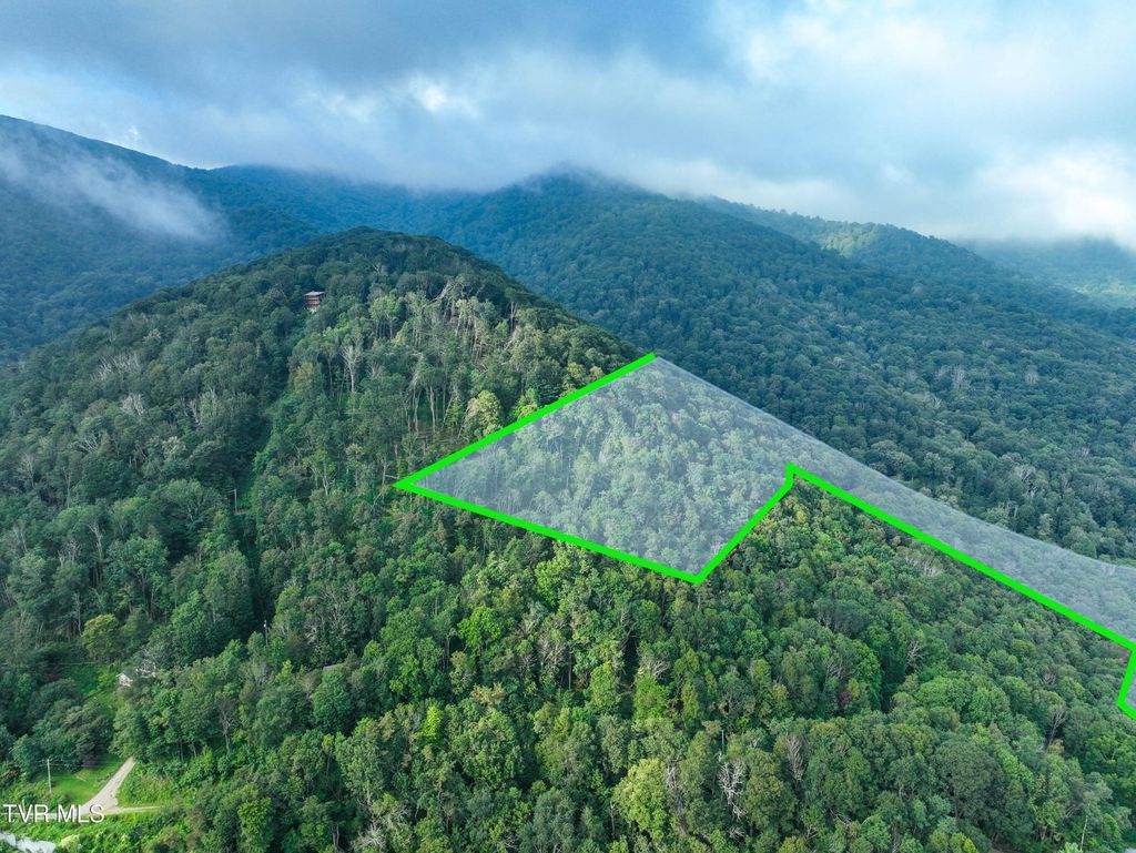 Photo of 000 Sylvan Way, Roan Mountain, TN 37687 (MLS # 9994026)