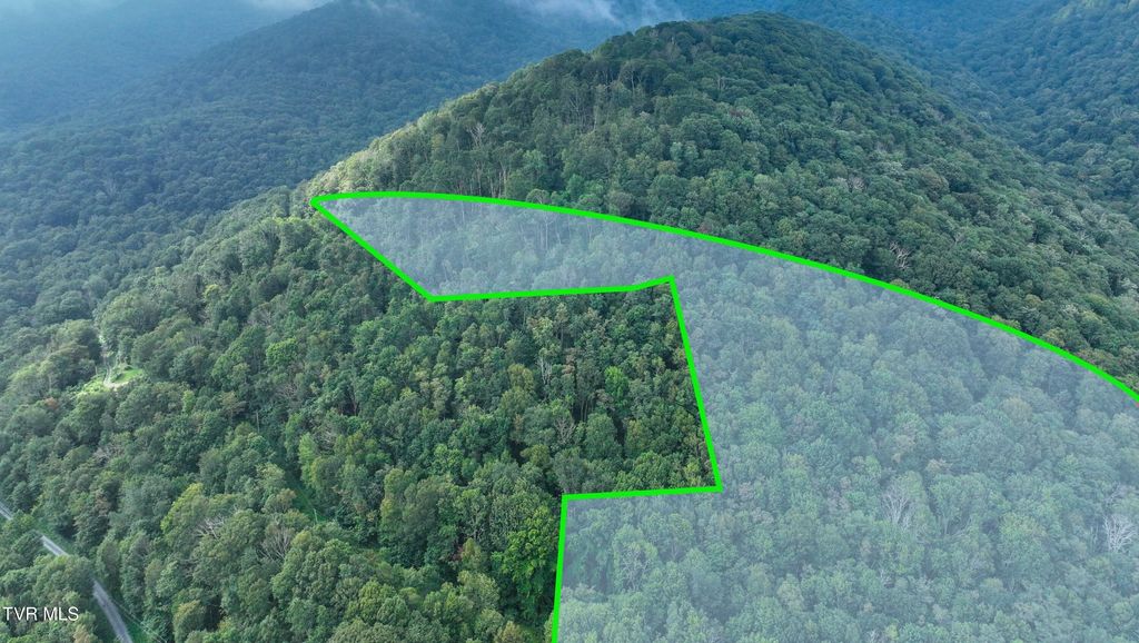 Photo of 000 Sylvan Way, Roan Mountain, TN 37687 (MLS # 9994026)