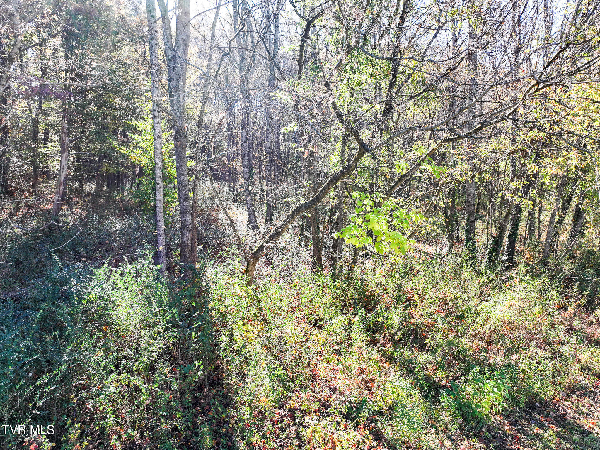 Tbd Lot 7 Sanders Road #7, Greeneville, Tennessee image 10