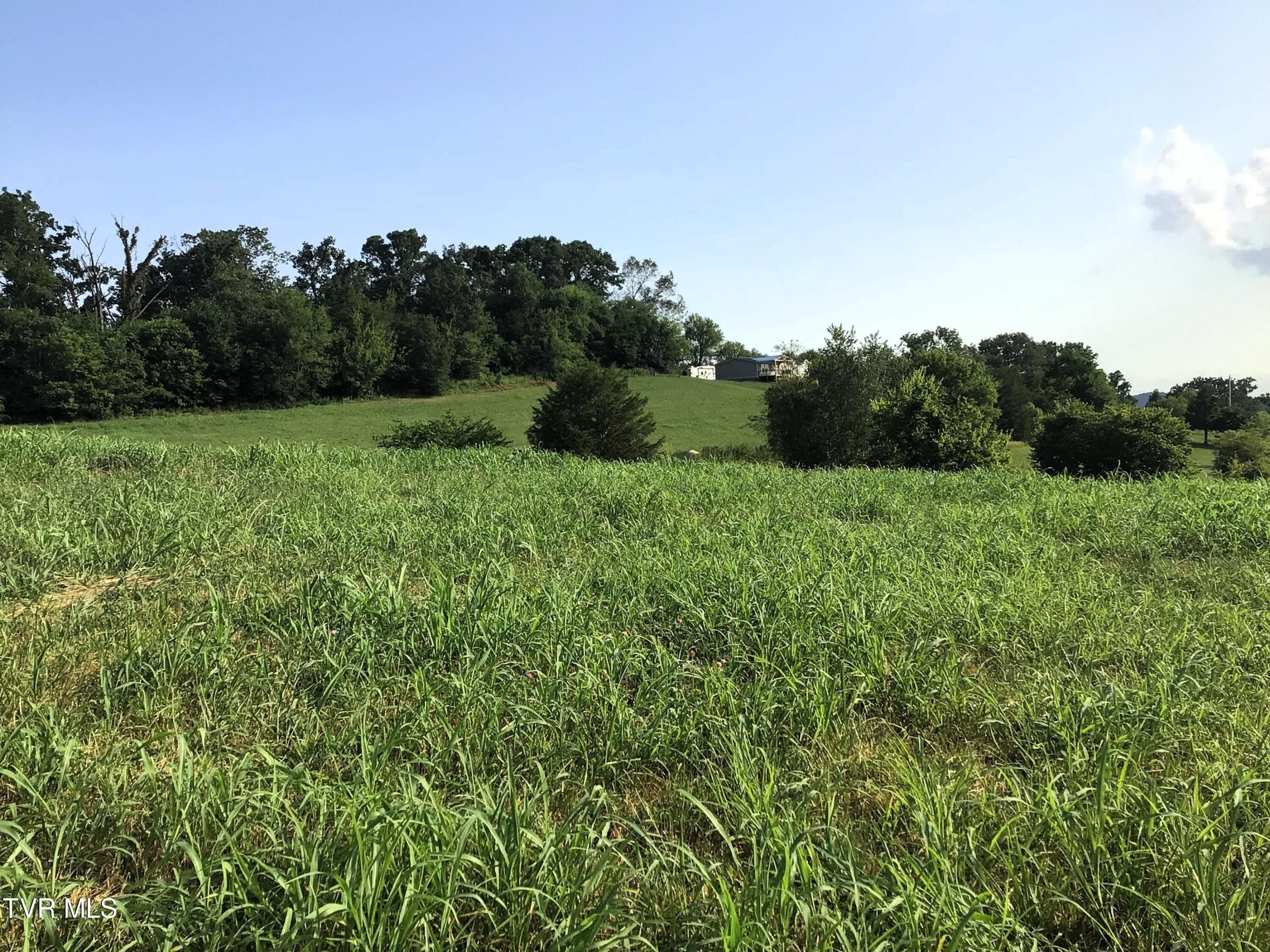 Lots 11-14 107 Cutoff, Greeneville, Tennessee image 8