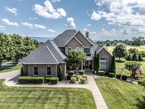 Photo of 201 Hawthorne Court, Greeneville, TN 37745 (MLS # 9995831)