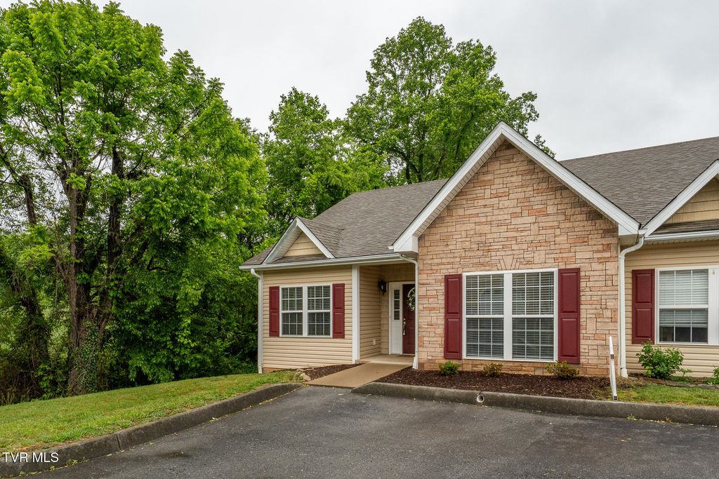 Photo of 83 Whisper Bend #83, Johnson City, TN 37604 (MLS # 9995083)