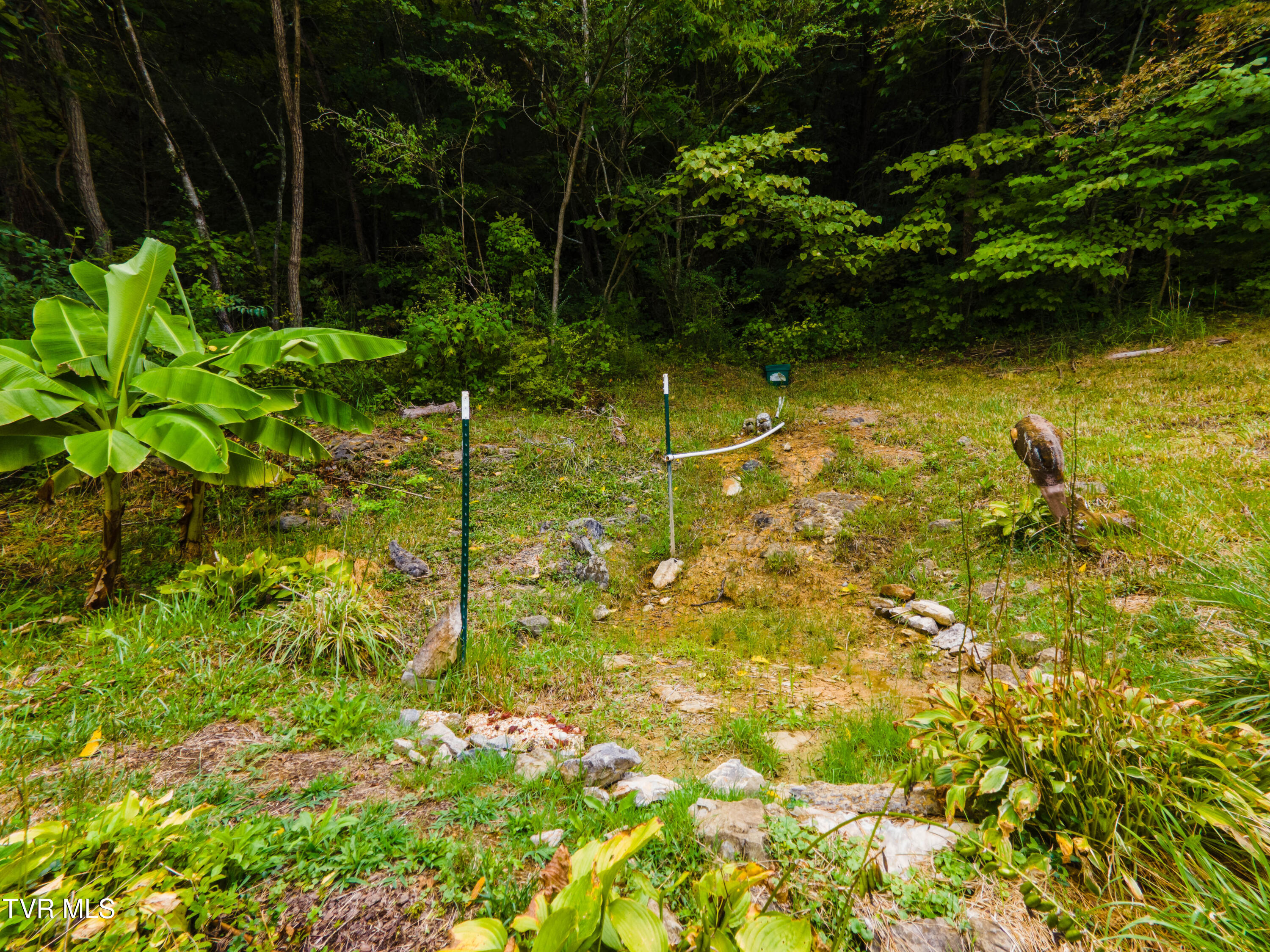 110 Charles Smith Road, Watauga, Tennessee image 26