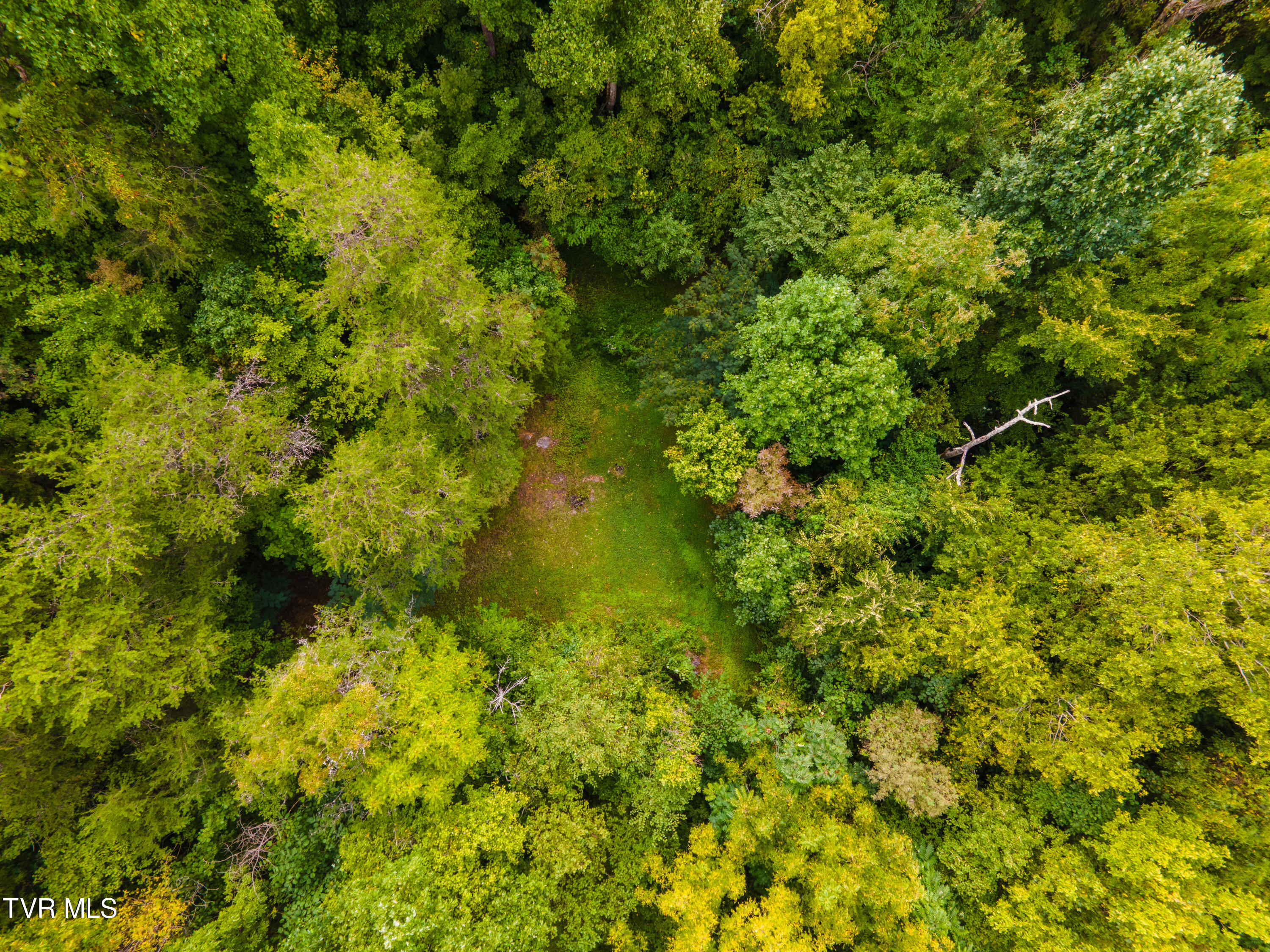 110 Charles Smith Road, Watauga, Tennessee image 27