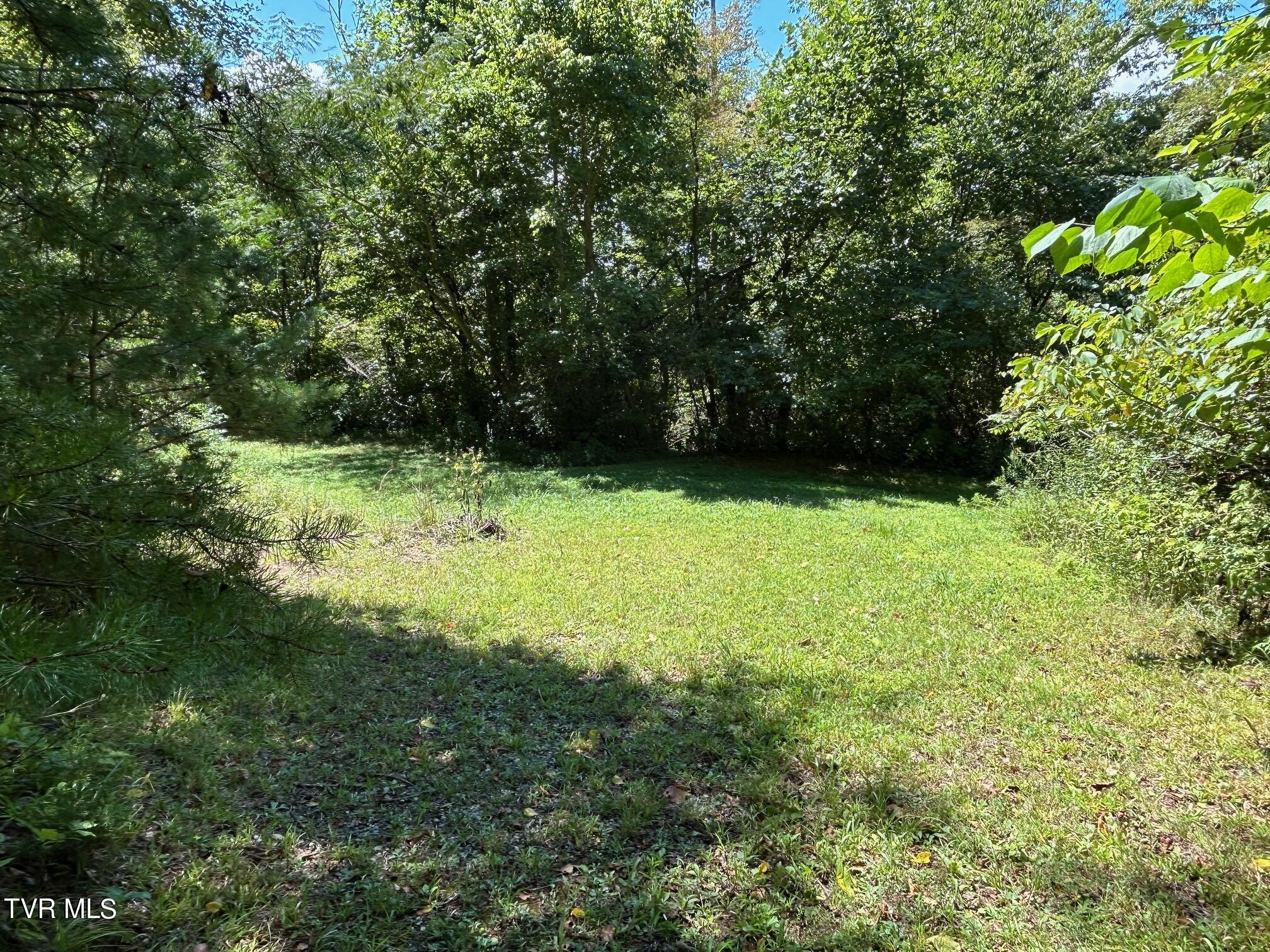 110 Charles Smith Road, Watauga, Tennessee image 30