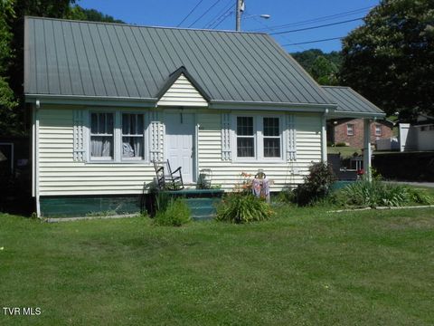 Homes For Sale - 203 Klepper Lane<br/> Rogersville, TN 37857
