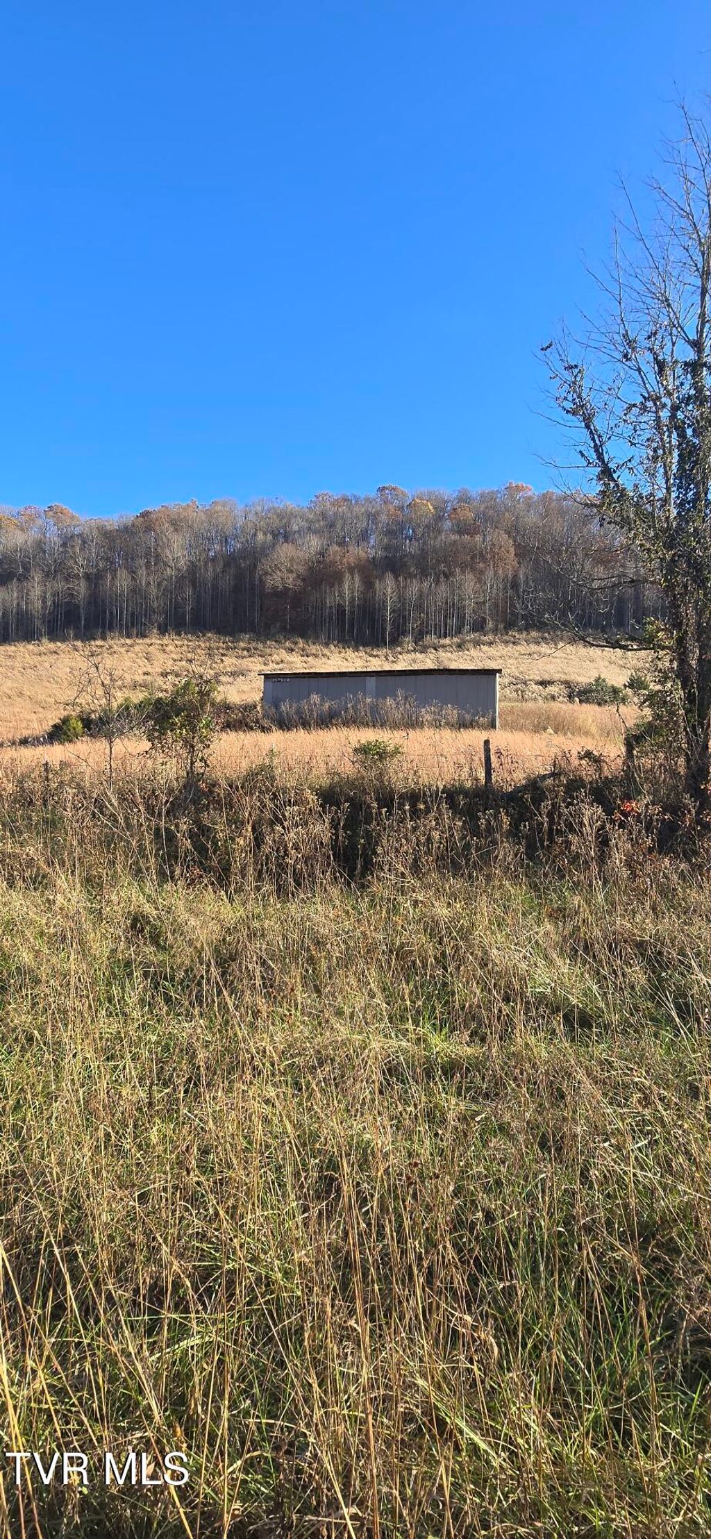 Photo of 2351 Line Road, Eidson, TN 37731 (MLS # 9988397)