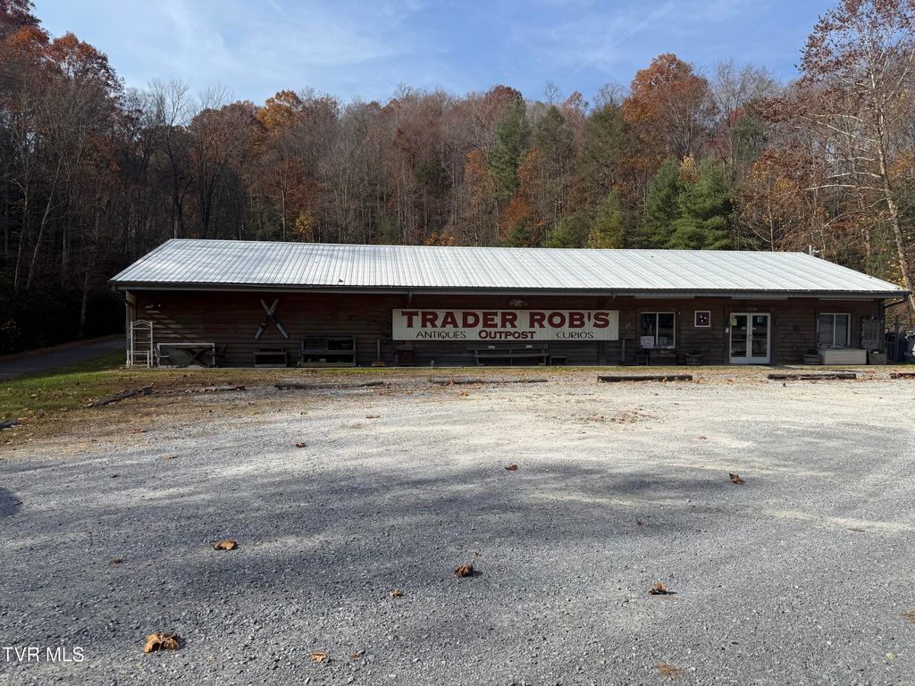 Photo of 7050 Highway 19e Hwy, Roan Mountain, TN 37687 (MLS # 9988258)