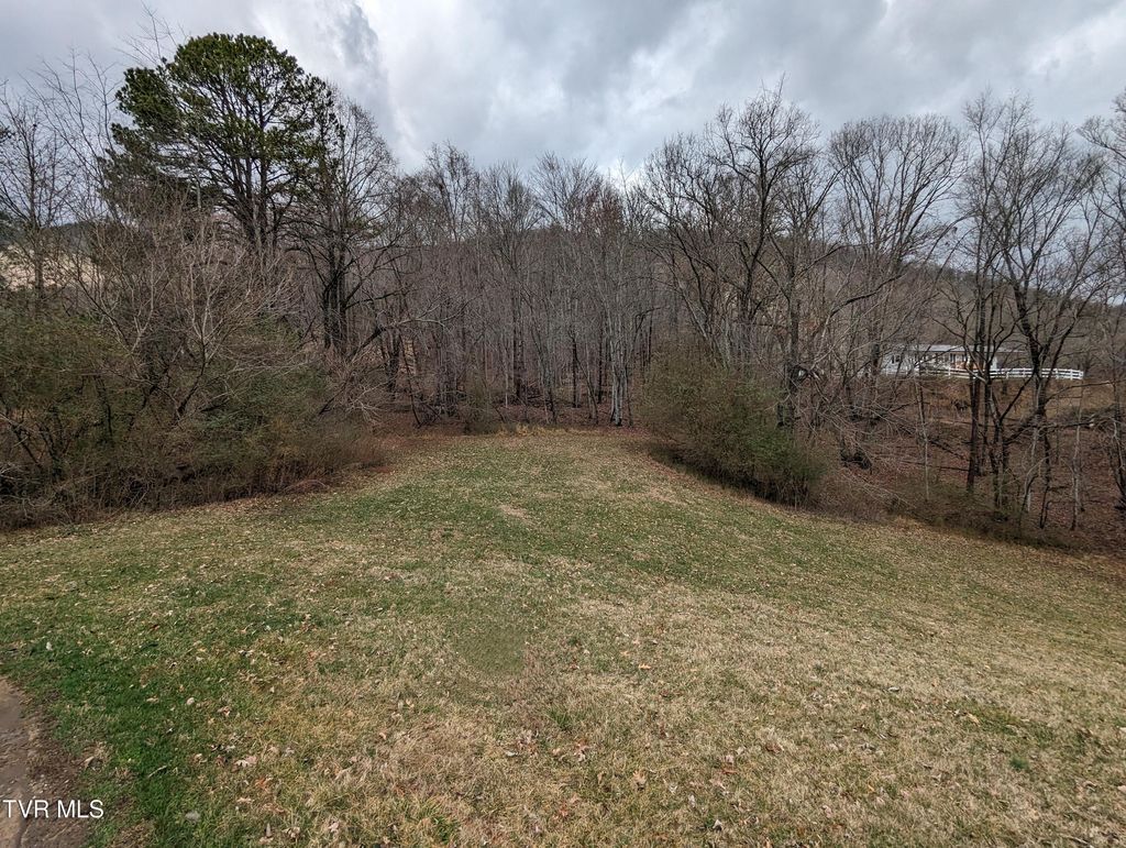 Photo of Tbd Dogwood Street, Weber City, VA 24290 (MLS # 9962469)