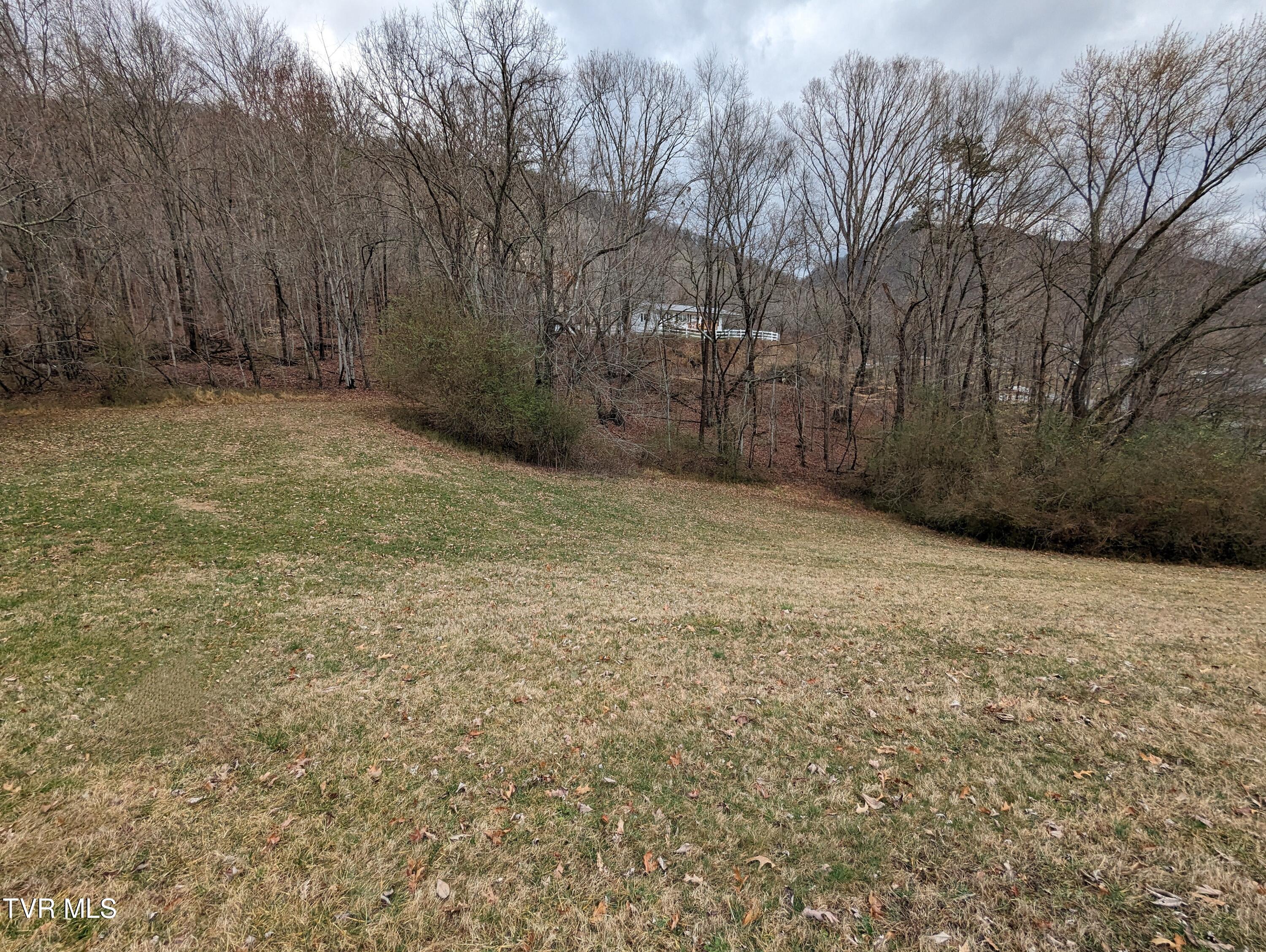 Tbd Dogwood Street, Weber City, Virginia image 2