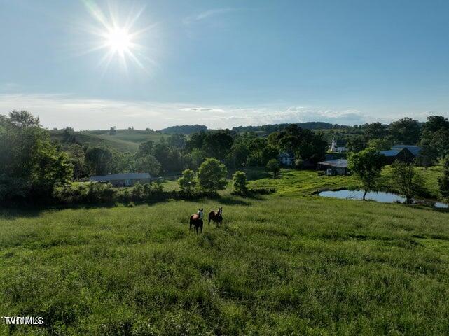 90 Dykes Hill Road, Limestone, Tennessee image 3