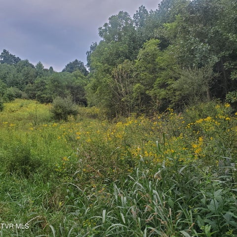 Vacant Land For Sale - 949 Palmer Avenue<br/> Saltville, VA 24370