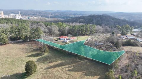 Vacant Land For Sale - Swafford Lane Nw<br/> Charleston, TN 37310