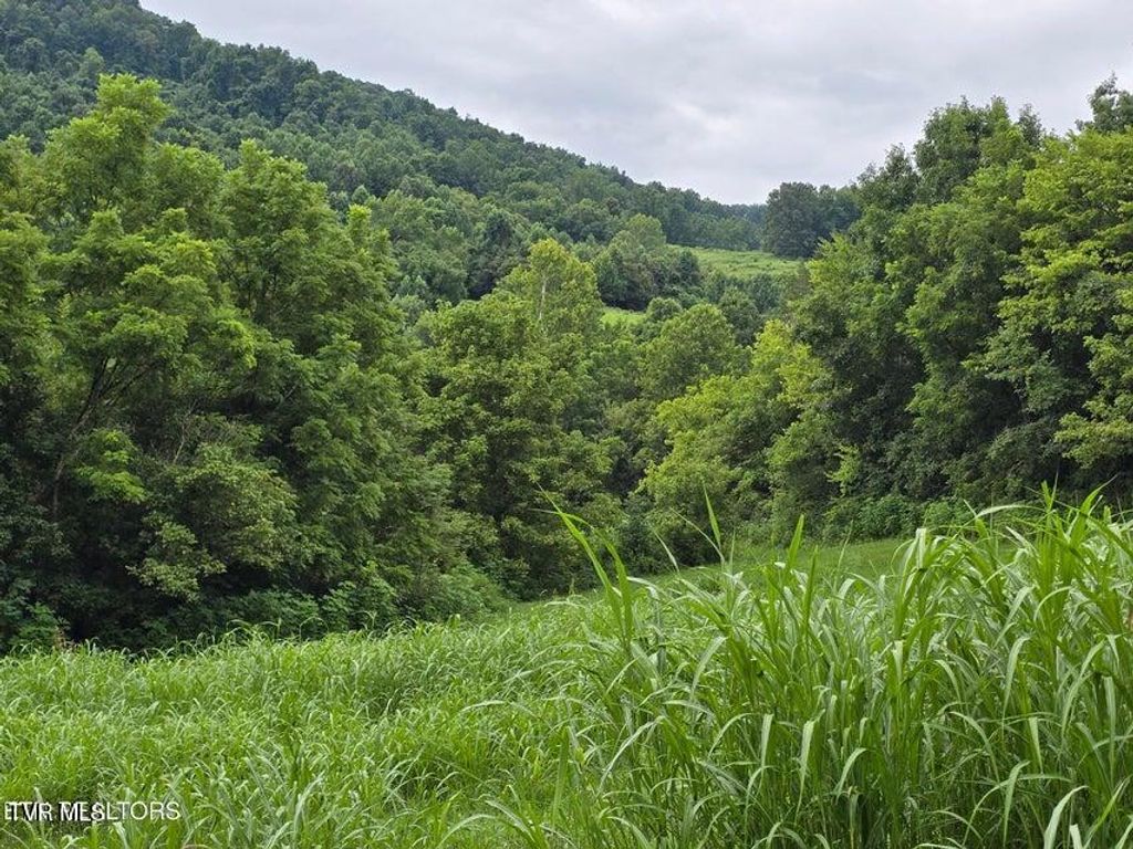 Photo of 6835 Mulberry Gap Road, Tazewell, TN 37879 (MLS # 9984650)