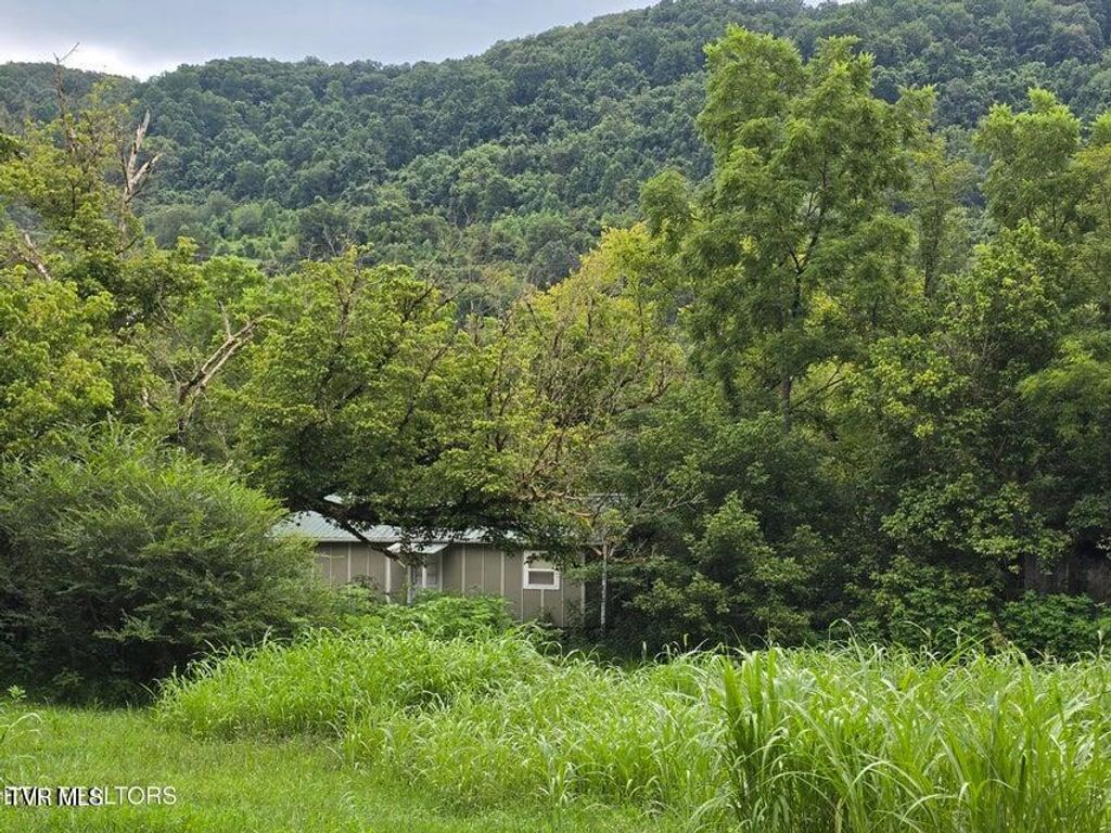 Photo of 6835 Mulberry Gap Road, Tazewell, TN 37879 (MLS # 9984650)