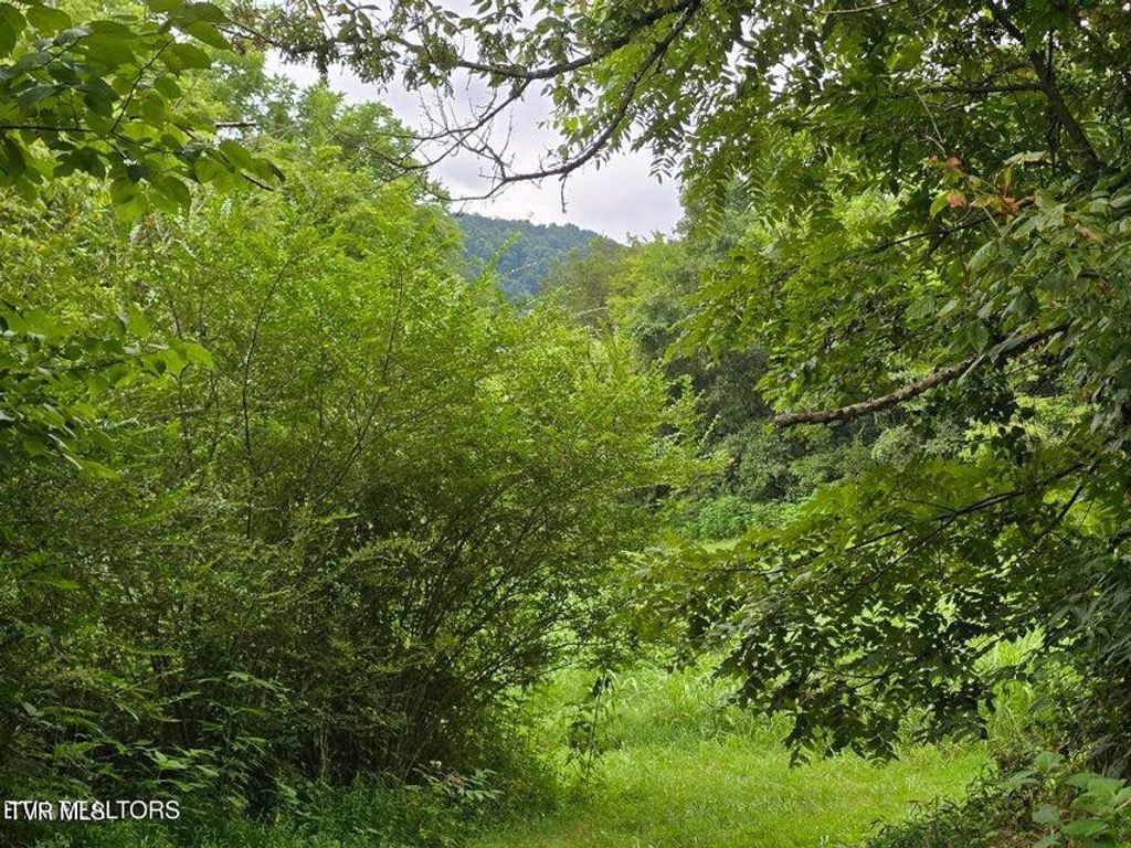 Photo of 6835 Mulberry Gap Road, Tazewell, TN 37879 (MLS # 9984650)