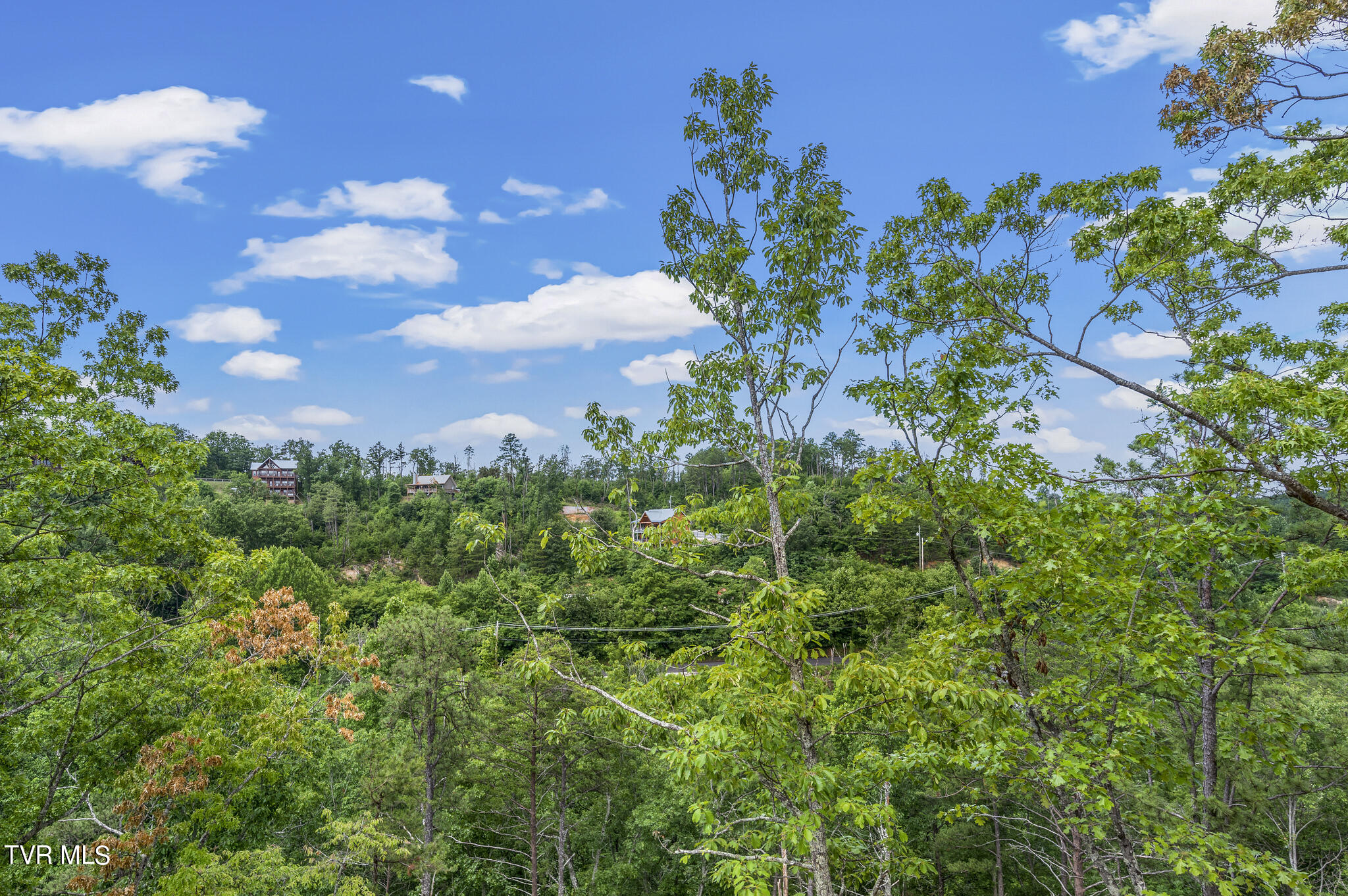 1864 Blue Tick Way, Sevierville, Tennessee image 6
