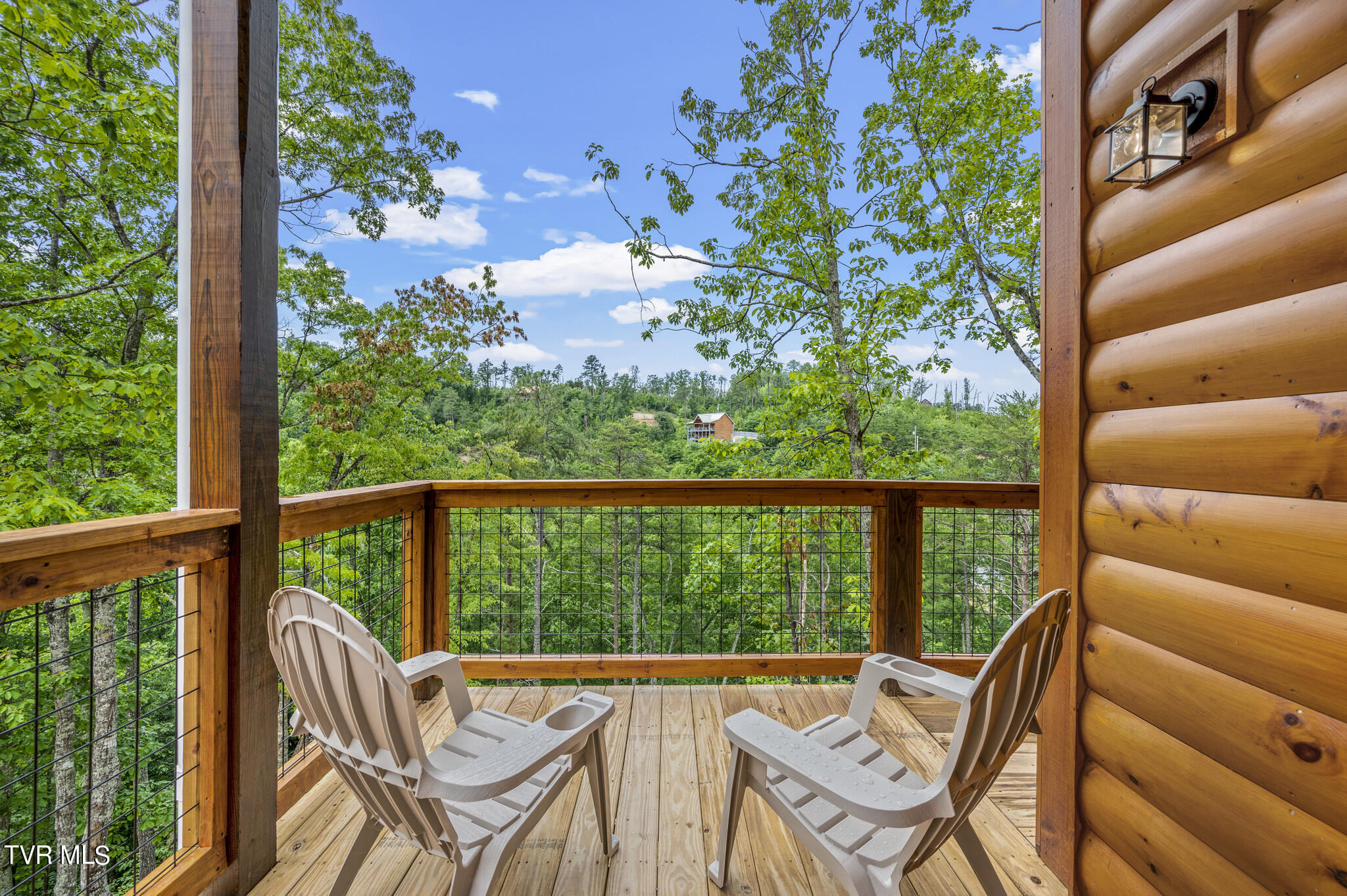 1864 Blue Tick Way, Sevierville, Tennessee image 4