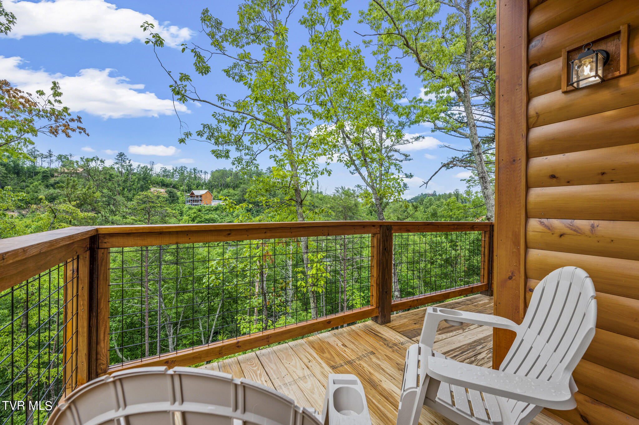 1864 Blue Tick Way, Sevierville, Tennessee image 5