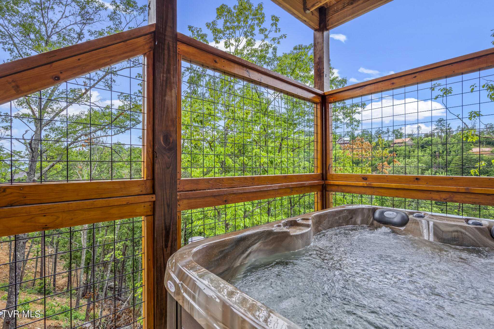 1864 Blue Tick Way, Sevierville, Tennessee image 8