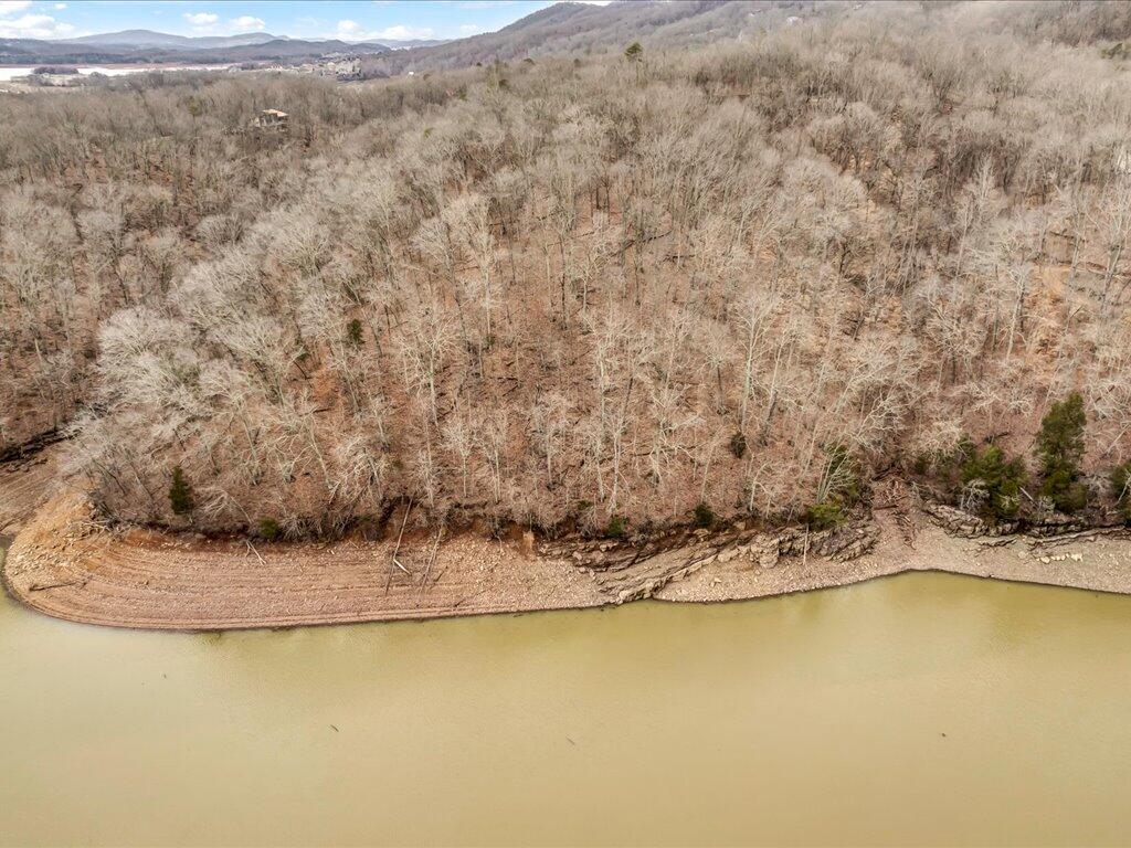 1204 Waterview Lane, Mooresburg, Tennessee image 14